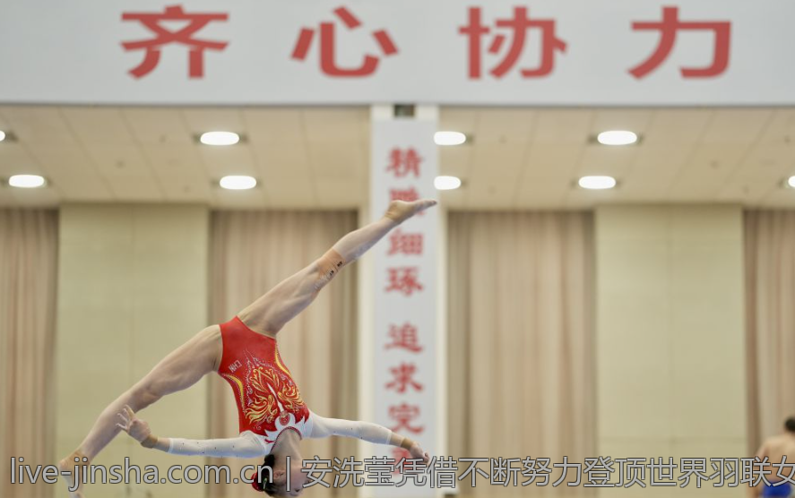 安洗莹凭借不断努力登顶世界羽联女单积分第一的荣耀时刻