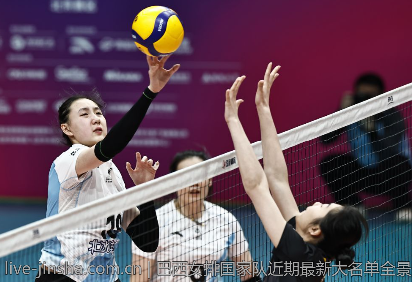 巴西女排国家队近期最新大名单全景回顾