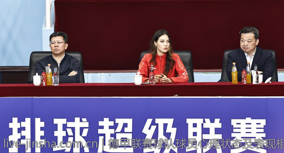 德甲联赛球队球员心理状态及表现相关性