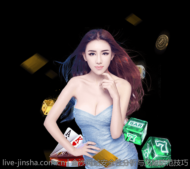 金沙网站安全性分析与风险防范技巧